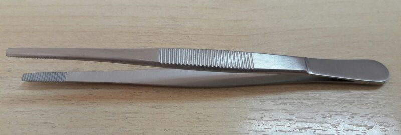 Forceps, Stainless Steel, Blunt, Albion (not medical device, only for professional lab use)