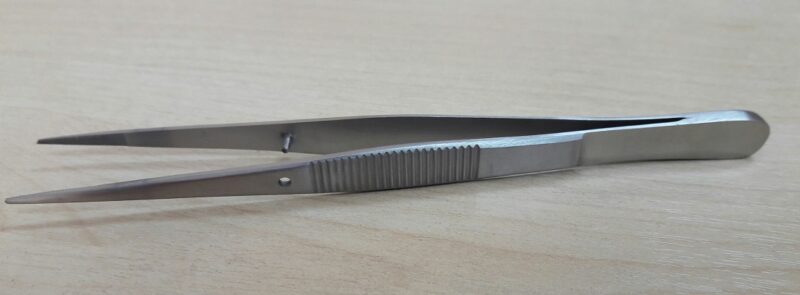 Forceps, Stainless Steel, Sharp, Albion (not medical device, only for professional lab use)
