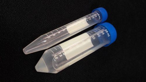 Centrifuge Tube, PP, Labmart GQ (not medical device, only for professional lab use)