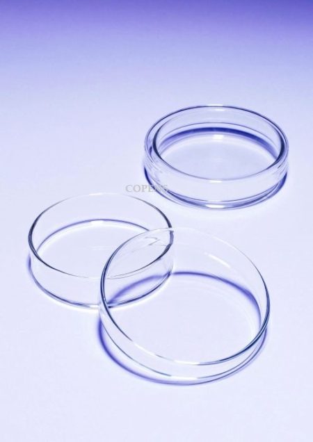 Petri Dish, Glass, Pyrex UK (not medical device, only for professional lab use)